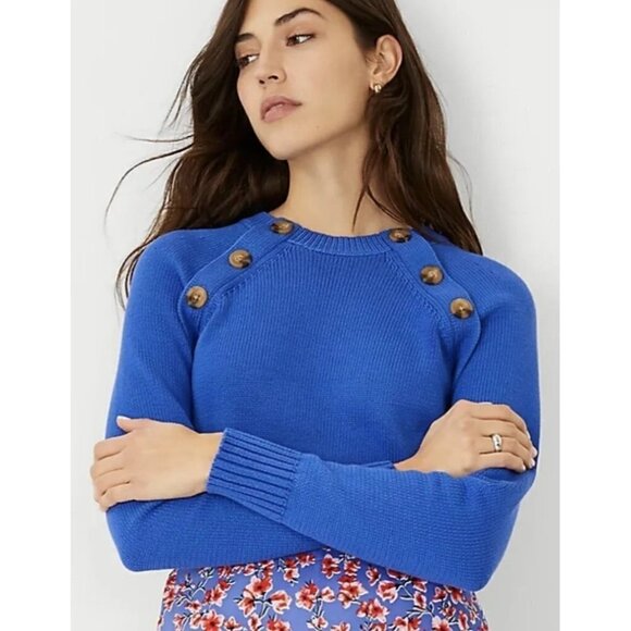 Ann Taylor Size Petite Large Shoulder Button Trim Ragland Sleeve Blue Sweater - Picture 1 of 12